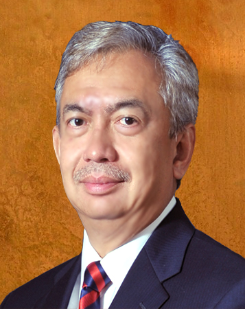 Dato' Mohamed Nizam Bin Abdul Razak